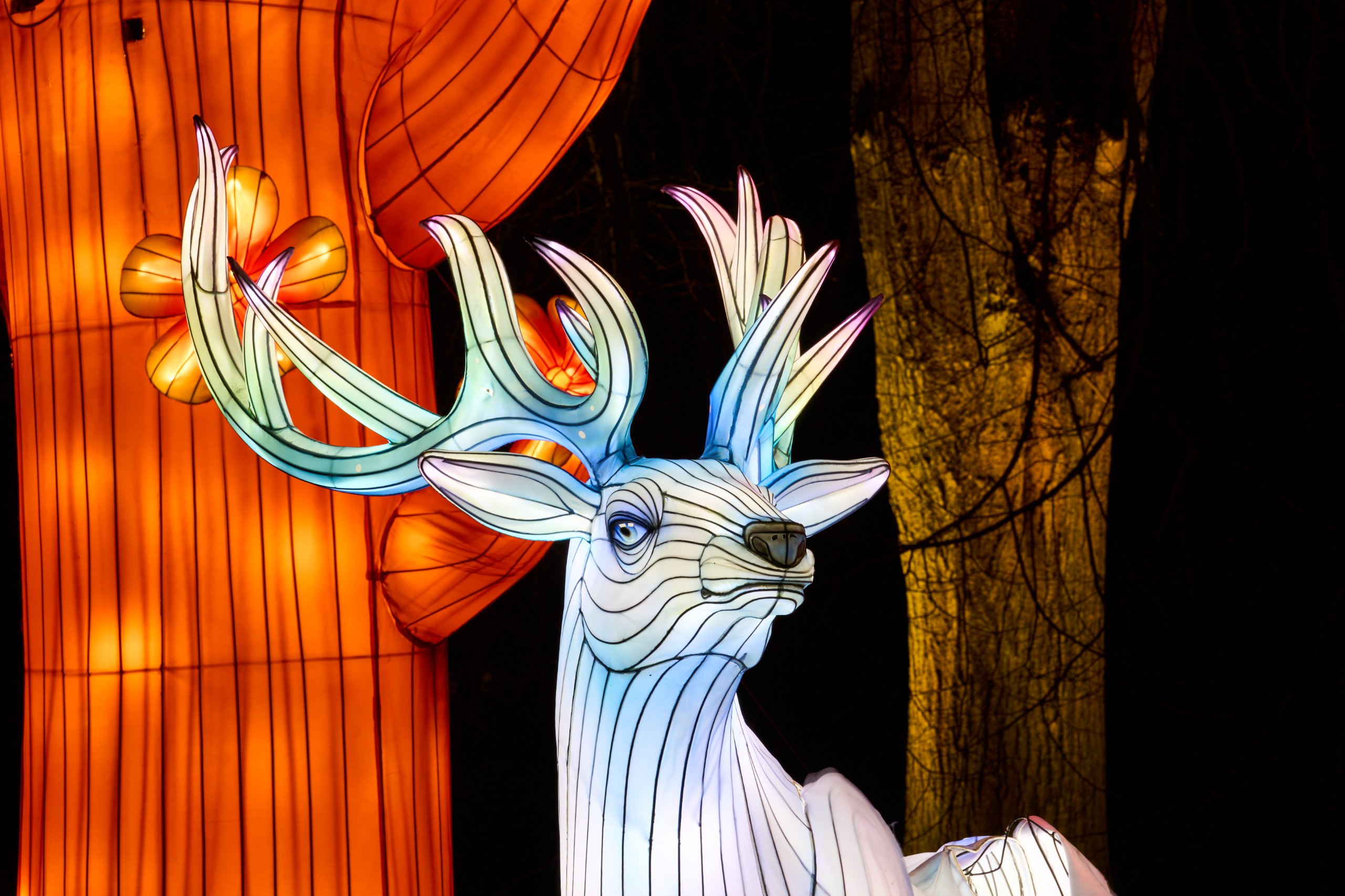 2026 02 05 Parkleuchten 0427